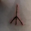 Life Rune